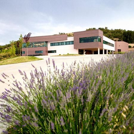 Hotel Bodegas Traslascuestas - Grupo Pierola Valcavado de Roa Exteriér fotografie