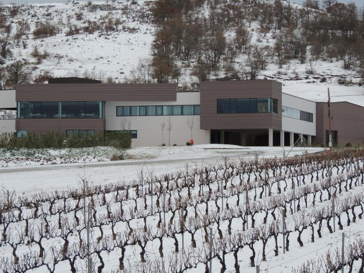 Hotel Bodegas Traslascuestas - Grupo Pierola Valcavado de Roa Exteriér fotografie